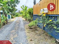 ขายที่ดิน เนื้อที่ 50 ตารางวา มอเตอร์เวย์ 11 ลาดกระบัง กรุงเทพฯ-202508301545301756543530655.jpg