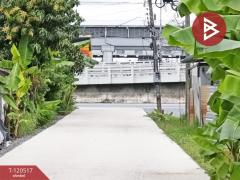 ขายที่ดิน เนื้อที่ 50 ตารางวา มอเตอร์เวย์ 11 ลาดกระบัง กรุงเทพฯ-202508301545311756543531774.jpg