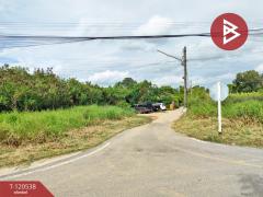 ขายที่ดิน เนื้อที่ 1 งาน 0.5 ตร.วา หน้าเมือง ฉะเชิงเทรา