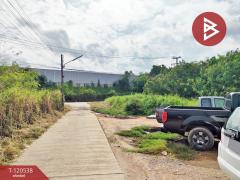 ขายที่ดิน เนื้อที่ 1 งาน 0.5 ตร.วา หน้าเมือง ฉะเชิงเทรา-202508301659231756547963341.jpg