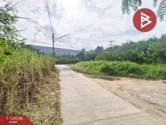 ขายที่ดิน เนื้อที่ 1 งาน 0.5 ตร.วา หน้าเมือง ฉะเชิงเทรา-202508301659241756547964417.jpg