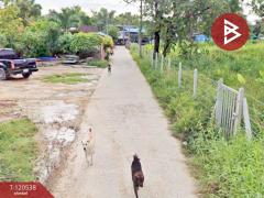 ขายที่ดิน เนื้อที่ 1 งาน 0.5 ตร.วา หน้าเมือง ฉะเชิงเทรา-202508301659241756547964944.jpg