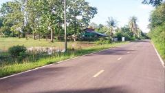 ขายที่ดิน 300ตรว-600ตรว ทำเลดี มีน้ำมีไฟ อยู่ในชุมชน อยู่ใกล้ตัวเมืองชานุมาน เหมาะปลูกบ้าน
