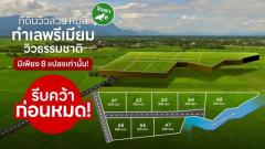 ขายที่ดินหมูสี ปากช่อง เขาใหญ่ โคราช แบ่งแปลงขายพร้อม สาธารณุปโภคพร้อม โทร 0814012278-202508310904291756605869083.jpg