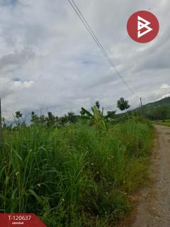 ขายที่ดิน มี 2 แปลง เนื้อที่รวม 4 ไร่ 2 งาน 15 ตร.วา เทิง เชียงราย-202508311100511756612851077.jpg