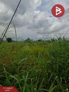 ขายที่ดิน มี 2 แปลง เนื้อที่รวม 4 ไร่ 2 งาน 15 ตร.วา เทิง เชียงราย-202508311100511756612851604.jpg