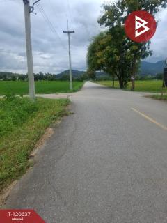 ขายที่ดิน มี 2 แปลง เนื้อที่รวม 4 ไร่ 2 งาน 15 ตร.วา เทิง เชียงราย-202508311100521756612852129.jpg