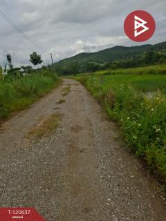 ขายที่ดิน มี 2 แปลง เนื้อที่รวม 4 ไร่ 2 งาน 15 ตร.วา เทิง เชียงราย-202508311100521756612852701.jpg