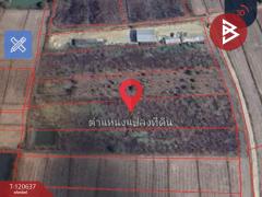 ขายที่ดิน มี 2 แปลง เนื้อที่รวม 4 ไร่ 2 งาน 15 ตร.วา เทิง เชียงราย-202508311100541756612854297.jpg