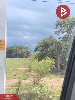 ขายที่ดิน เนื้อที่ 3 ไร่ 1 งาน 54 ตารางวา จ.อุตรดิตถ์ ติดถนนคุ้งตะเภา-202508311209111756616951228.jpg