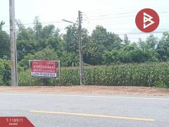 ขายที่ดิน เนื้อที่ 3 ไร่ 1 งาน 54 ตารางวา จ.อุตรดิตถ์ ติดถนนคุ้งตะเภา-202508311209111756616951771.jpg