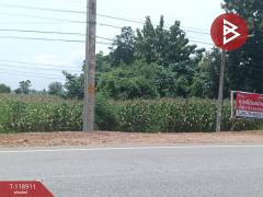 ขายที่ดิน เนื้อที่ 3 ไร่ 1 งาน 54 ตารางวา จ.อุตรดิตถ์ ติดถนนคุ้งตะเภา-202508311209121756616952316.jpg