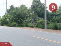 ขายที่ดิน เนื้อที่ 3 ไร่ 1 งาน 54 ตารางวา จ.อุตรดิตถ์ ติดถนนคุ้งตะเภา-202508311209121756616952858.jpg