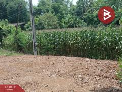 ขายที่ดิน เนื้อที่ 3 ไร่ 1 งาน 54 ตารางวา จ.อุตรดิตถ์ ติดถนนคุ้งตะเภา-202508311209131756616953404.jpg