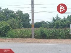 ขายที่ดิน เนื้อที่ 3 ไร่ 1 งาน 54 ตารางวา จ.อุตรดิตถ์ ติดถนนคุ้งตะเภา-202508311209141756616954496.jpg