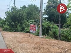 ขายที่ดิน เนื้อที่ 3 ไร่ 1 งาน 54 ตารางวา จ.อุตรดิตถ์ ติดถนนคุ้งตะเภา-202508311209151756616955076.jpg