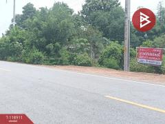 ขายที่ดิน เนื้อที่ 3 ไร่ 1 งาน 54 ตารางวา จ.อุตรดิตถ์ ติดถนนคุ้งตะเภา-202508311209151756616955626.jpg