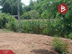 ขายที่ดิน เนื้อที่ 3 ไร่ 1 งาน 54 ตารางวา จ.อุตรดิตถ์ ติดถนนคุ้งตะเภา-202508311209171756616957021.jpg