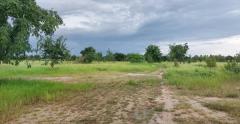 ขายที่ดิน 77 ไร่ ที่ดินศักยภาพสูง ติดทางหลวงแผ่นดิน 117 เก้าเลี้ยว นครสวรรค์-202508311223591756617839046.jpg