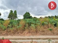 ขายที่ดิน-เนื้อที่-2-ไร่-11.6-ตารางวา-สั