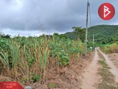 ขายที่ดิน เนื้อที่ 2 ไร่ 11.6 ตารางวา สัตหีบ ชลบุรี-202508311323541756621434112.jpg