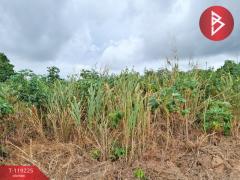 ขายที่ดิน เนื้อที่ 2 ไร่ 11.6 ตารางวา สัตหีบ ชลบุรี-202508311323561756621436067.jpg