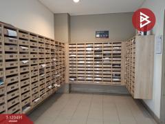 ขายคอนโดมิเนียม ลุมพินี วิลล์ ราชพฤกษ์-บางแวก ภาษีเจริญ กรุงเทพมหานคร-202508311434171756625657937.jpg