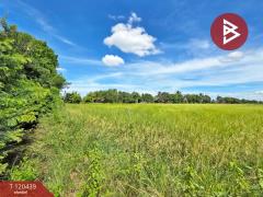 ขายที่ดินพร้อมผู้เช่า เนื้อที่ 1 งาน 35 ตร.วา ลาดกระบัง กรุงเทพมหานคร-202508311457121756627032947.jpg