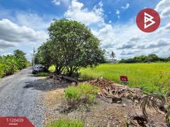 ขายที่ดินพร้อมผู้เช่า เนื้อที่ 1 งาน 35 ตร.วา ลาดกระบัง กรุงเทพมหานคร-202508311457141756627034046.jpg