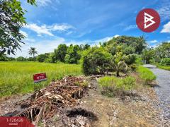 ขายที่ดินพร้อมผู้เช่า เนื้อที่ 1 งาน 35 ตร.วา ลาดกระบัง กรุงเทพมหานคร-202508311457141756627034583.jpg