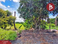 ขายที่ดินพร้อมผู้เช่า เนื้อที่ 1 งาน 35 ตร.วา ลาดกระบัง กรุงเทพมหานคร-202508311457151756627035111.jpg