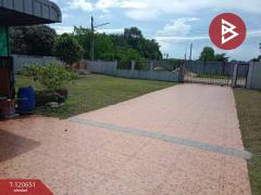 ขายบ้านเดี่ยวชั้นเดียว เนื้อที่ 2 งาน แกลง ระยอง บรรยากาศดี-202508311525471756628747874.jpg