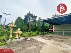 ขายที่ดินพร้อมสิ่งปลูกสร้าง เนื้อที่ 1 ไร่ 43 ตร.วา ซำ ศรีสะเกษ-202508311551191756630279586.jpg