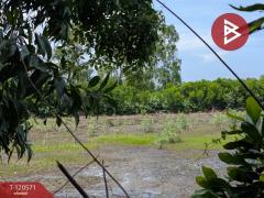 ขายที่ดิน เนื้อที่ 59 ไร่ 99.1 ตร.วา เกาะขวาง จันทบุรี-202508311600181756630818920.jpg