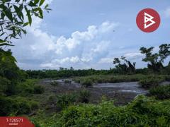 ขายที่ดิน เนื้อที่ 59 ไร่ 99.1 ตร.วา เกาะขวาง จันทบุรี-202508311600201756630820518.jpg