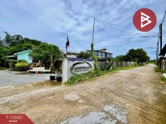 ขายที่ดินพร้อมสิ่งปลูกสร้าง เนื้อที่ 1 ไร่ 3 งาน 42 ตารางวา นาป่า ชลบุรี-202508311619401756631980959.jpg