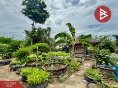 ขายที่ดินพร้อมสิ่งปลูกสร้าง เนื้อที่ 1 ไร่ 3 งาน 42 ตารางวา นาป่า ชลบุรี-202508311619461756631986315.jpg