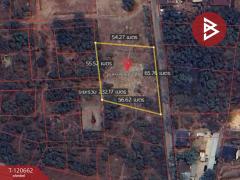 ขายที่ดิน เนื้อที่ 1 ไร่ 3 งาน 85 ตร.วา สามพร้าว อุดรธานี-202508311645461756633546264.jpg