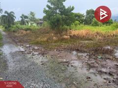 ขายที่ดิน เนื้อที่ 2 งาน 84.6 ตร.วา มะขาม จันทบุรี-202508311655231756634123130.jpg