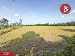 ขายที่ดิน เนื้อที่ 29 ไร่ 91 ตร.วา ดงเจริญ พิจิตร-202508311701591756634519774.jpg