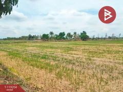 ขายที่ดิน เนื้อที่ 29 ไร่ 91 ตร.วา ดงเจริญ พิจิตร-202508311702011756634521360.jpg