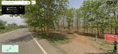 ด่วน! โอกาสทองสำหรับนักลงทุน ที่ดิน 29 ไร่ พร้อมสวนสักอายุ 12 ปี ใกล้เมืองลำพูน โทร 081-530-7997-202508312109051756649345643.jpg