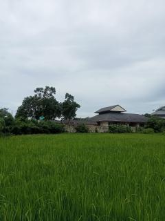 ขายที่ดินเปล่า ชุมชนตลาด  เขาย้อย เพชรบุรี (เหมาะกับลงทุน+เกษตร)-202508312247031756655223503.jpg
