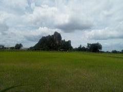 ขายที่ดินเปล่า ชุมชนตลาด  เขาย้อย เพชรบุรี (เหมาะกับลงทุน+เกษตร)
