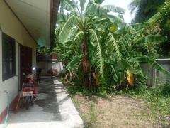 ขายบ้านพร้อมที่ดิน ติดชุมชนกระทรวง เขาย้อยเพชรบุรี -202508312247511756655271173.jpg