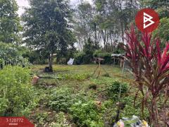 ขายที่ดิน เนื้อที่ 96 ตร.วา เขาคิชฌกูฏ จันทบุรี-202509010129261756664966606.jpg