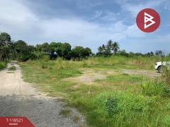 ขายที่ดิน เนื้อที่ 3 ไร่ 1 งาน 48 ตร.วา เหมือง ชลบุรี-202509011002311756695751213.jpg