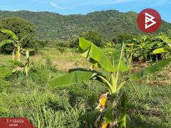 ขายที่ดิน เนื้อที่ 2 ไร่ 2 งาน 8 ตารางวา ต.เหมือง ชลบุรี วิวเขาธรรมชาติ-202509011015581756696558246.jpg