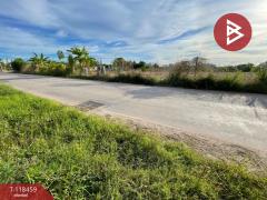 ขายที่ดิน เนื้อที่ 2 ไร่ 2 งาน 8 ตารางวา ต.เหมือง ชลบุรี วิวเขาธรรมชาติ-202509011015591756696559863.jpg