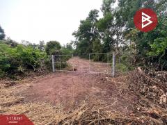 ขายที่ดิน เนื้อ 2 ไร่ 2 งาน 24 ตร.วา เกาะจันทร์ ชลบุรี-202509011026021756697162644.jpg